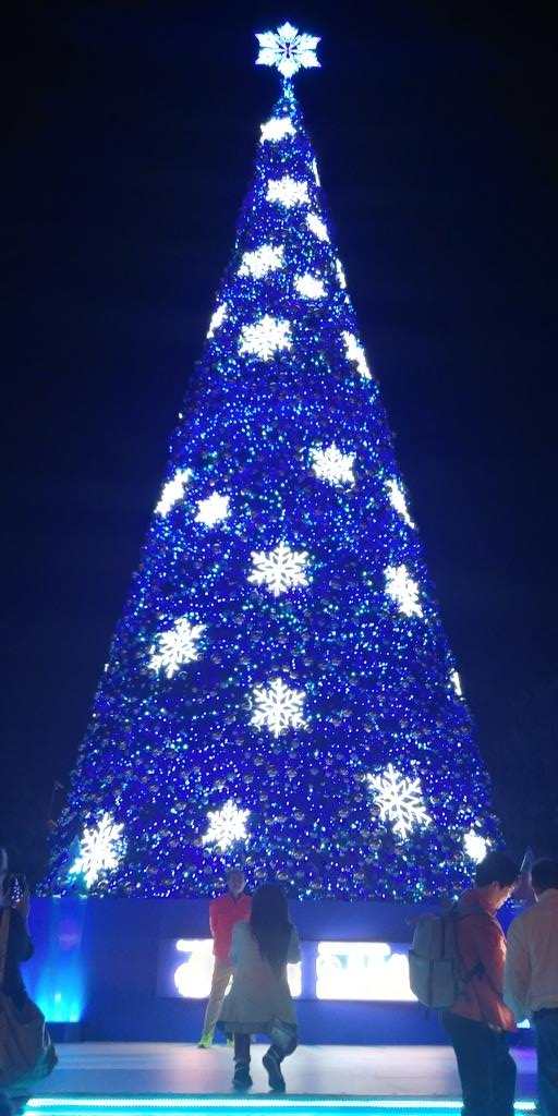 皇后廣場聖誕樹（晚上）