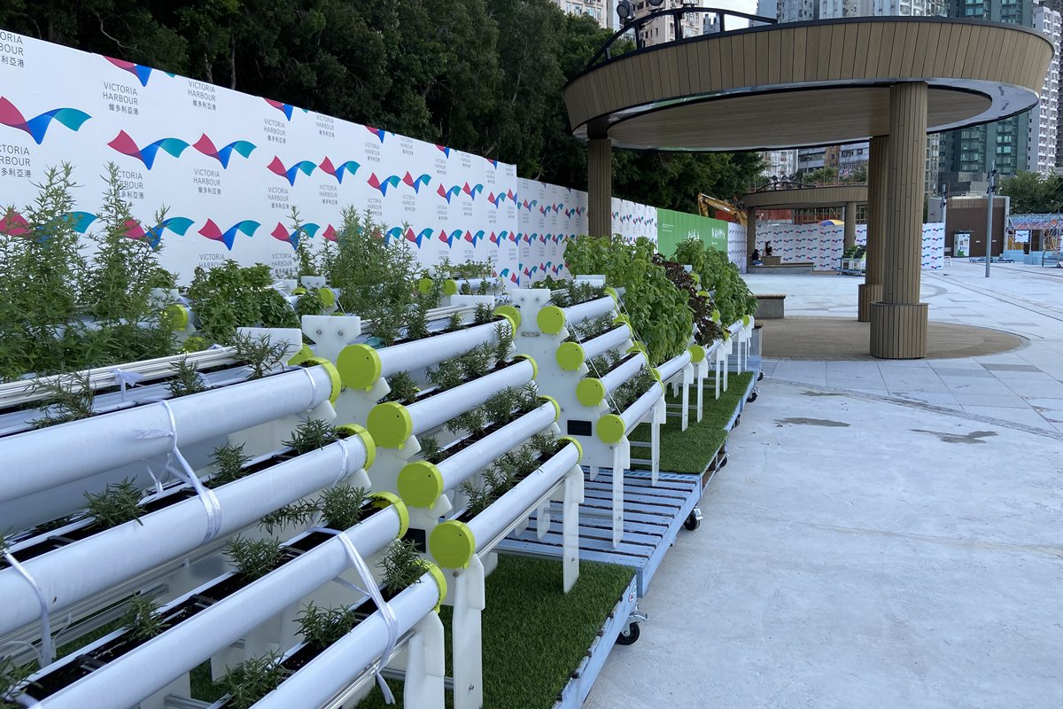 城市綠洲:  毗鄰休憩用地內陸地段約2,000平方米的範圍屬開放式社區園圃，結合水耕、魚菜共生和有機耕種，堪稱都市農場。