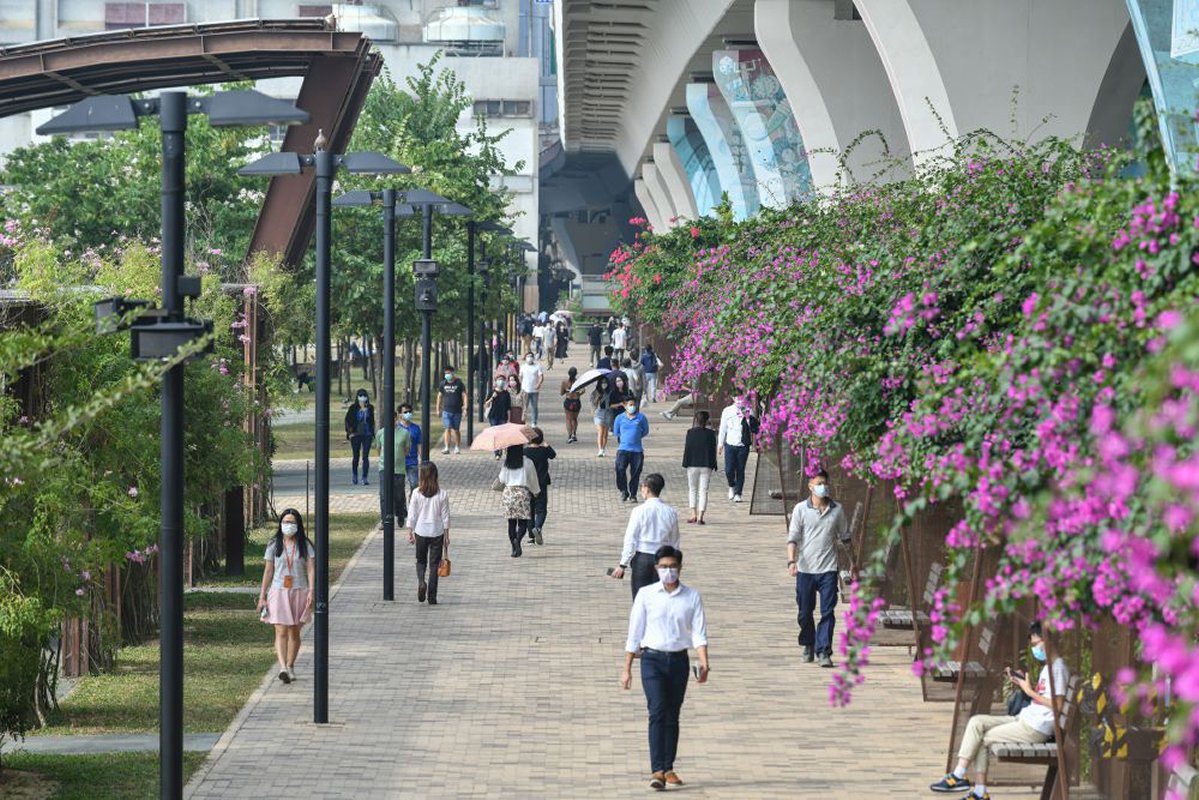 舊區活化:  起動九龍東辦事處着重以優良的城市設計、重整土地用途和提升街道景觀改善環境。其中，觀塘海濱花園於2015年5月落成和開放供公眾使用。