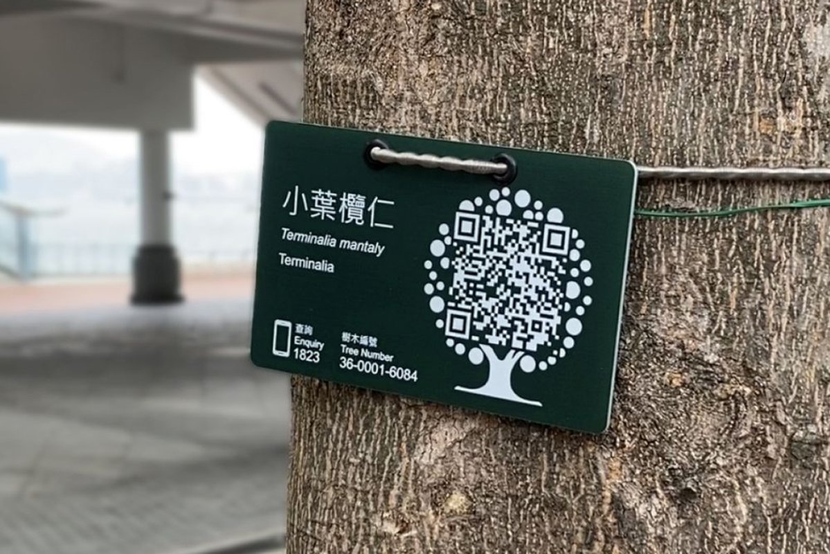 簡單介紹:  樹牌印有樹木的中英文名、學名等基本資料和二維條碼標籤。