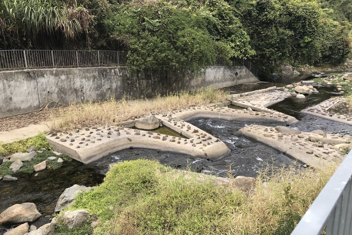 保育魚類:  河海洄游魚類調查的研究團隊透過模仿自然溪澗的生境，測試水壩、魚梯等緩解設施對魚類洄游活動的影響與成效，以期重新接合破碎的河溪棲息地。