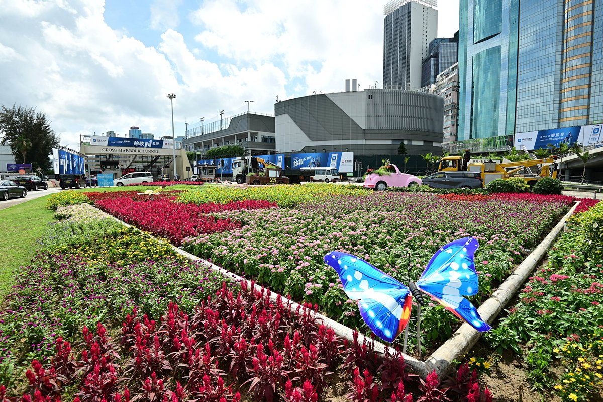 沿途花開:  花悅滿城計劃在全港21個路旁綠化園地種植各色顯花植物，海底隧道灣仔入口旁的園圃以「團聚、同行」為主題，與四周車水馬龍的景象遙相呼應。（相片由康樂及文化事務署提供）