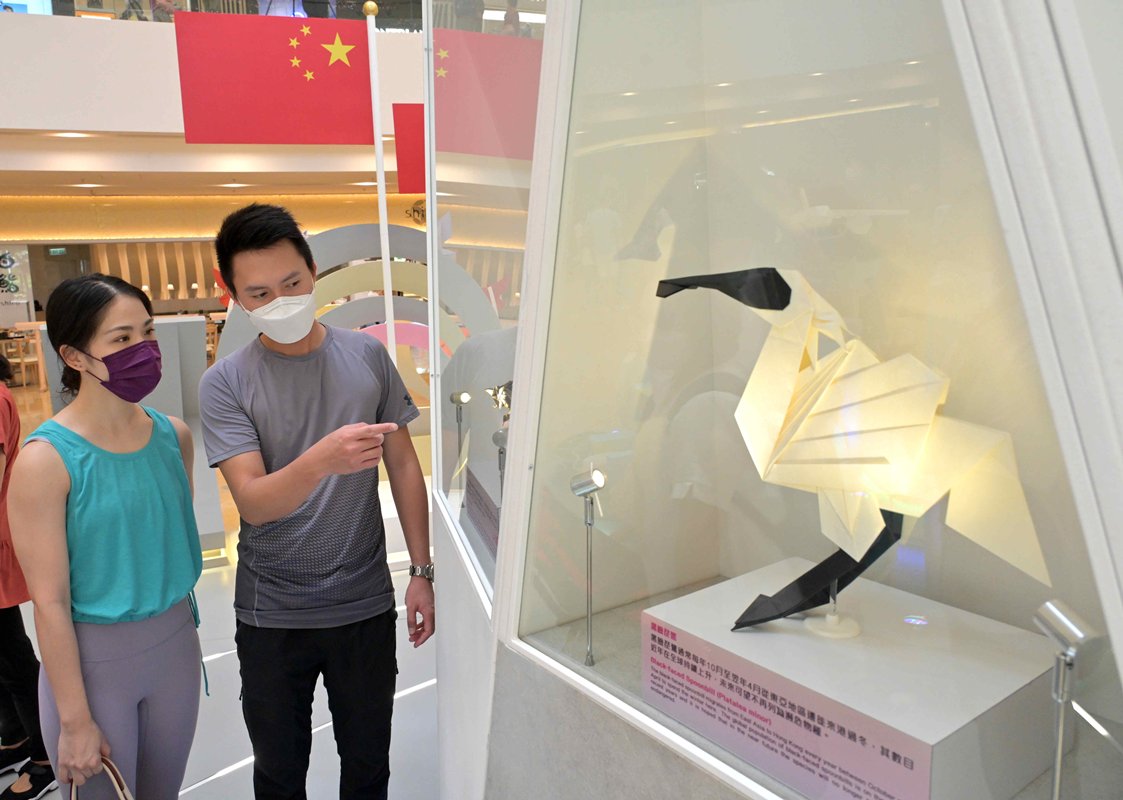 靈感來源:  摺紙藝術家陳柏熹（右）指是次展品的題材全與香港有關，他更親自到場向參觀市民講解細節。