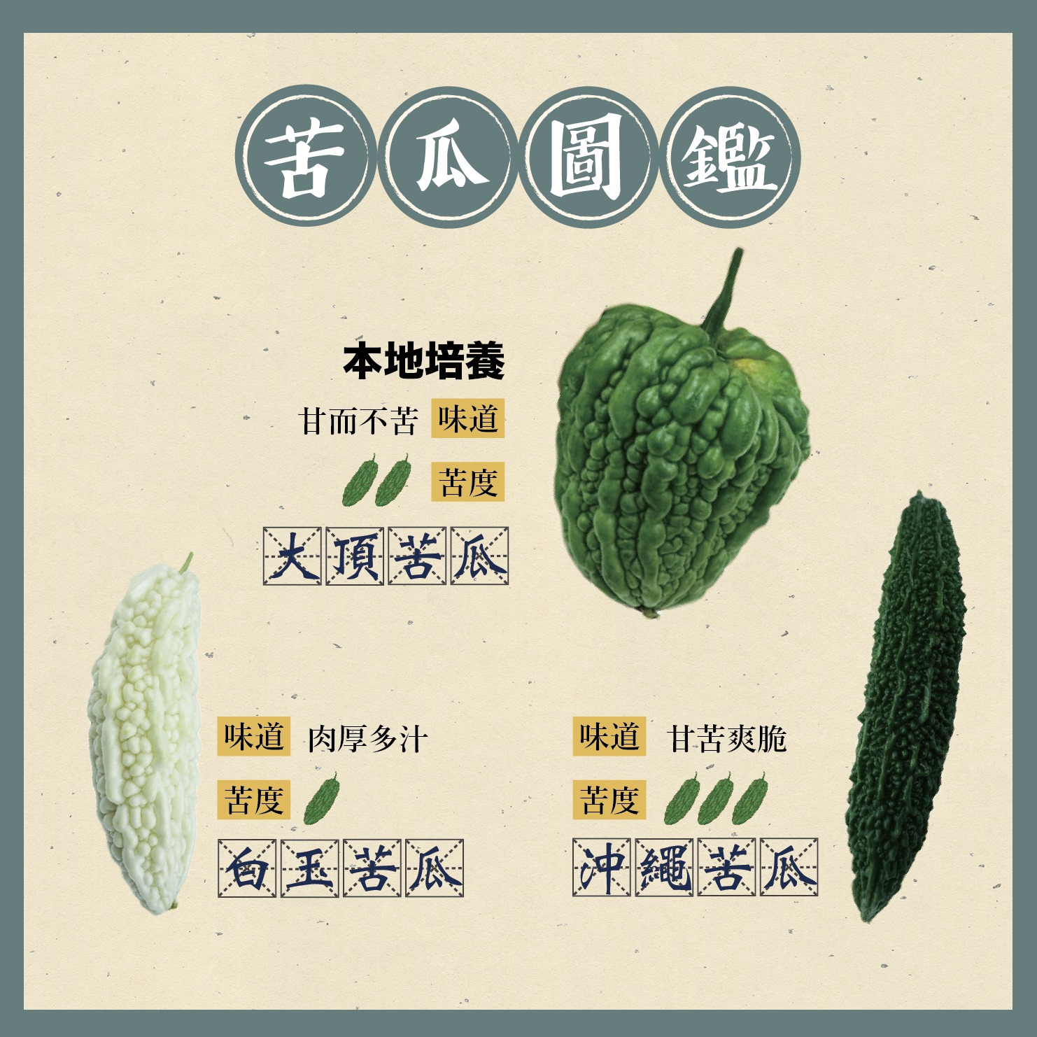 苦瓜圖鑑
