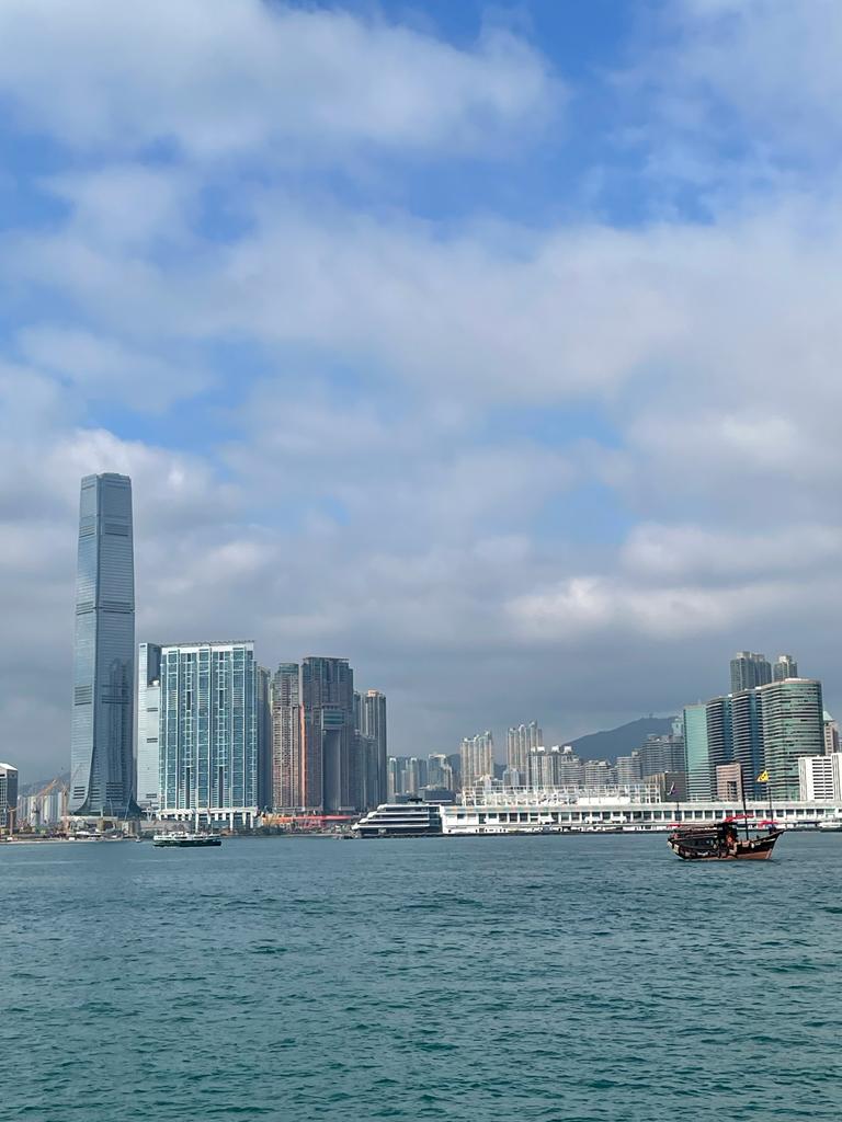 沿著中環海濱漫步，可以多角度欣賞香港景色，當中不乏香港地標，如國際金融中心二期大廈及天際100。處處都是打卡的好地方。
