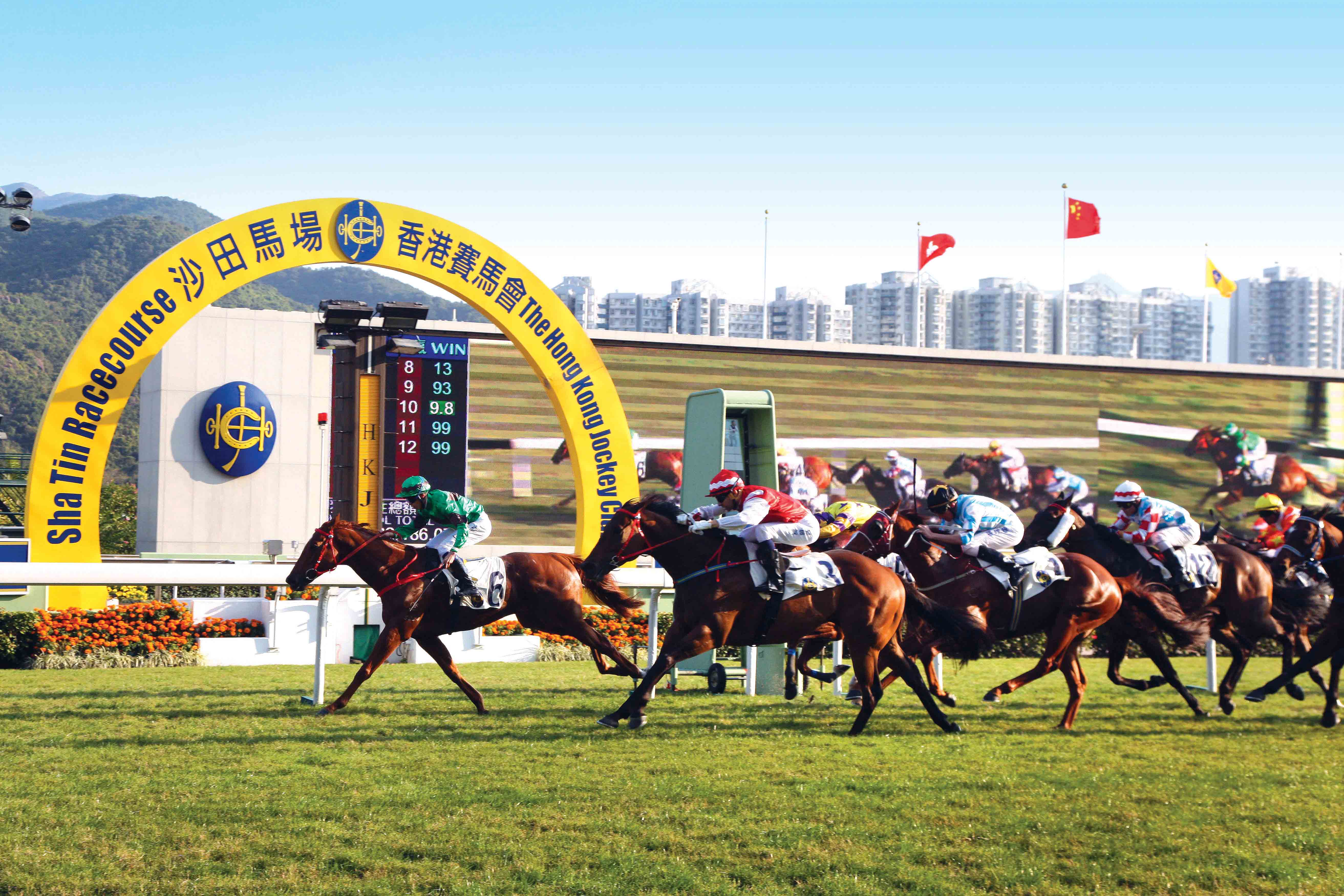 horse-racing-hk