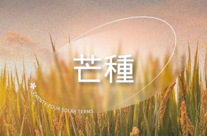 24solarterms-8-683d29fa3bcec