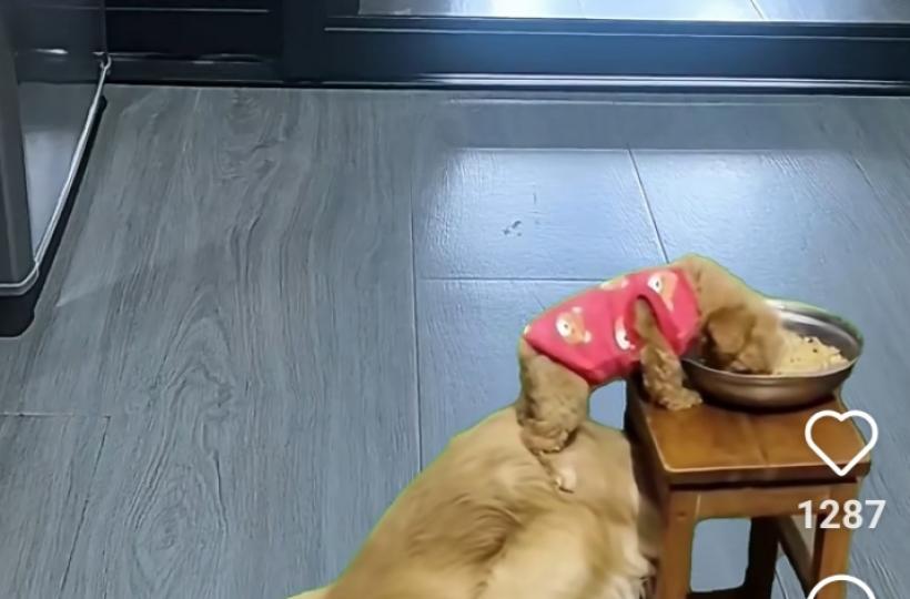 1000007028