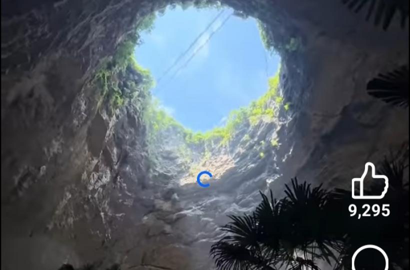 1000009565_0