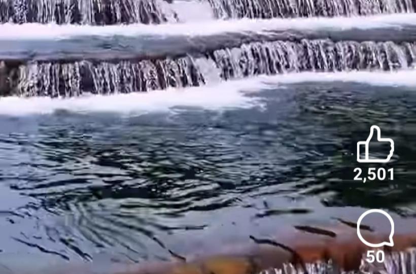 1000009795