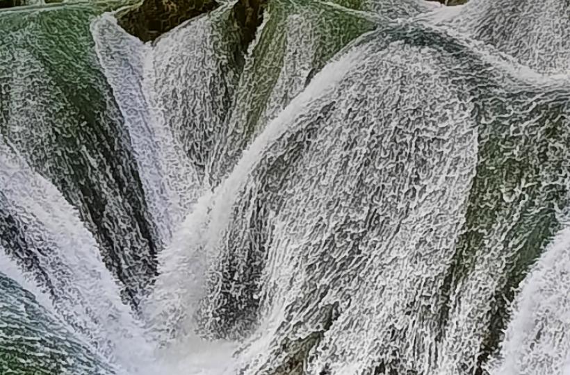 1000043391