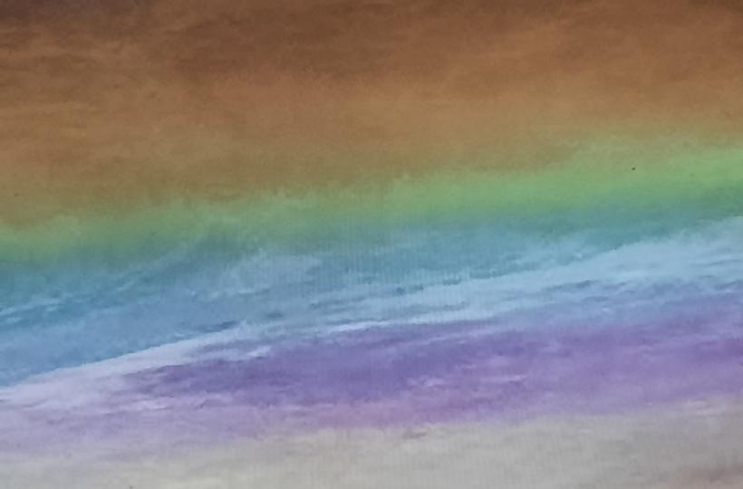 1000043519