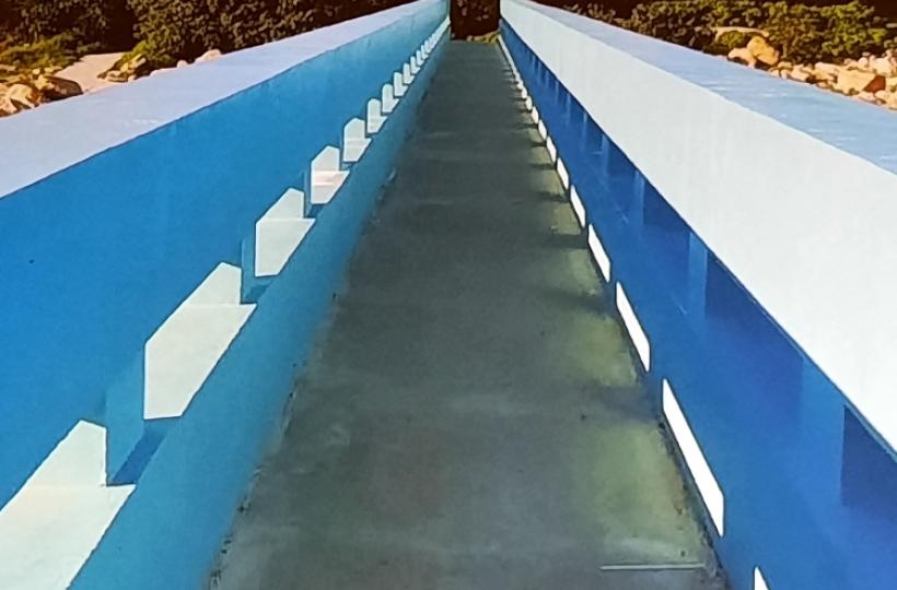 1000044032