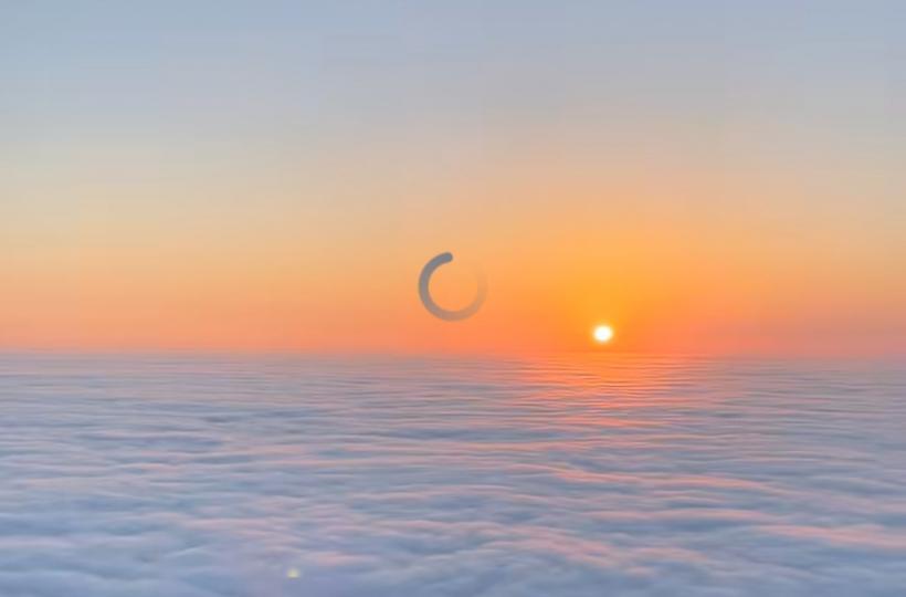 1000115461