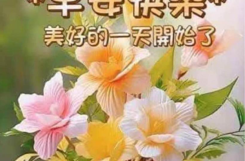 5EBC423B-A86D-4610-8504-2B8F69B4E549-45422-000005D2F8B298BA