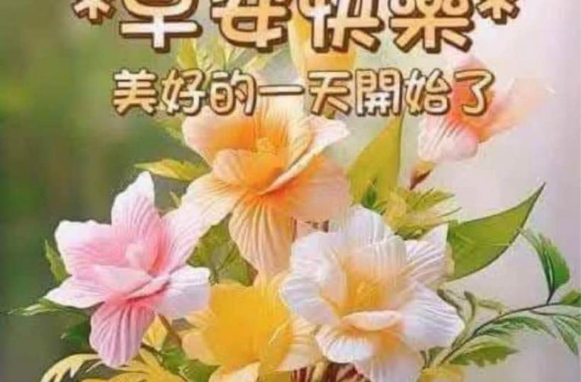 B50E646F-1DB6-423A-A67C-86B50DA0ADE4-50616-0000067D3CAD82AA