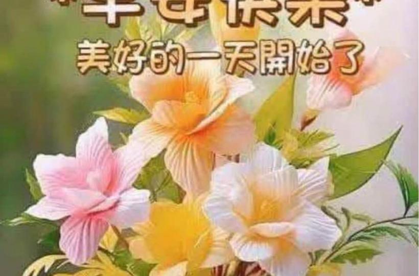 FB657900-4B0D-4870-860F-46222DCD48BB-41841-00000963B1946C99