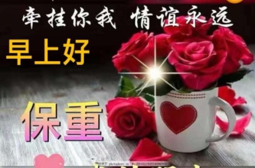 image%3A152207