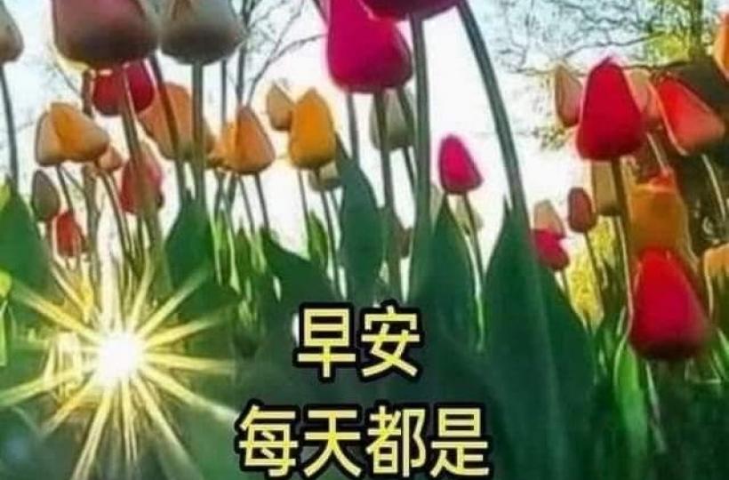 image%3A191187