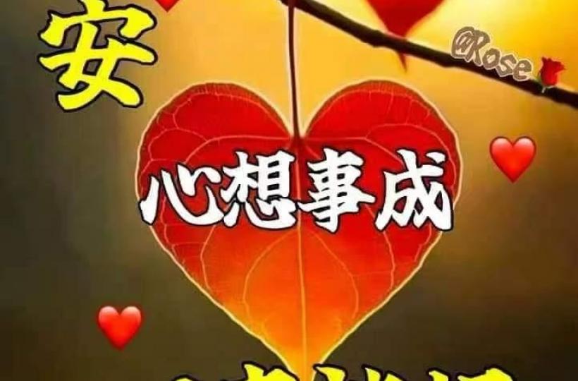 image%3A89969