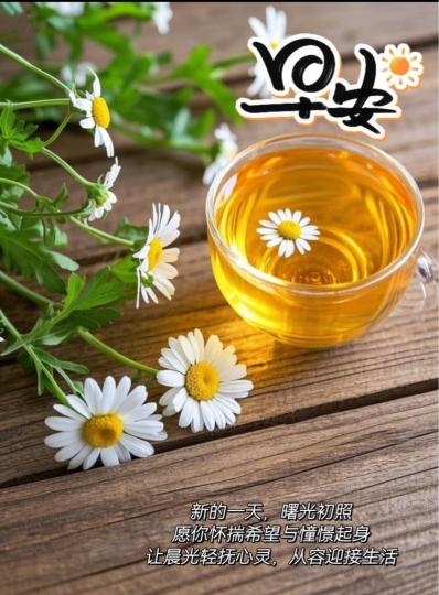01440B17-57A8-4BD3-846C-B1BAFE47A418-49908-0000056409CB9FA2