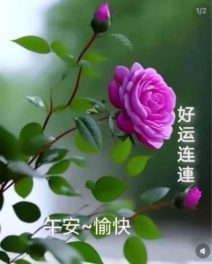 07A972CE-A6BB-425C-8DD0-DFE1C5B6E7F1-52611-0000057015647776