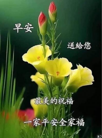 0838B05C-40B3-450B-918A-3D15E6A7C78D-24101-0000029A4D298592