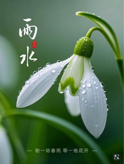 09A204D0-B4F0-4166-A3BD-FDAAD261E96B-68238-0000123C9F79E676