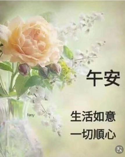 0EE1C931-04DE-4001-ABAC-36F82796C4E3-8590-000000EA9B237F2B