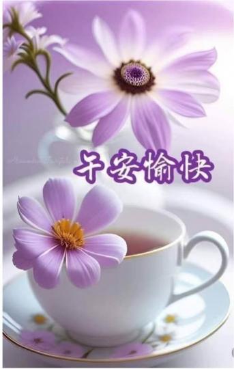 228737A5-58A4-4B73-A816-E902A4DD8369-1274-00000024EAB53CB0