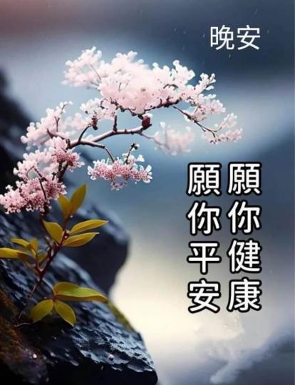 24562642-43D5-48C6-B759-0F4ECD447D38-6678-000000AF74B4E2C6