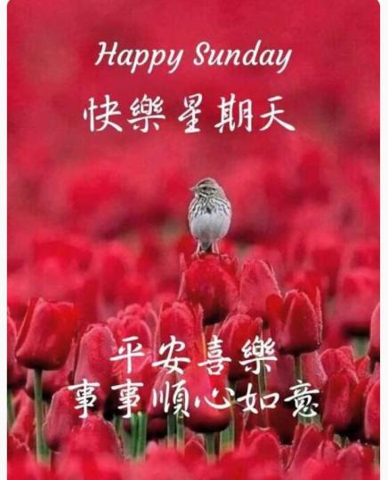 2CAEF1AE-4CF5-43A5-B4A1-1EA48C2F98F8-90627-00000A0627C9A7EB