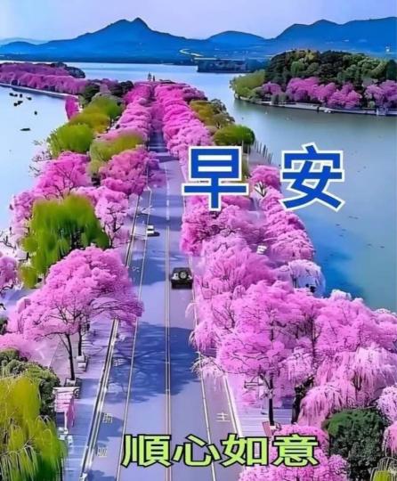 34E98ACE-8AB1-4A97-A863-C48B59A5DA7C-15660-000001A3E13B7B52