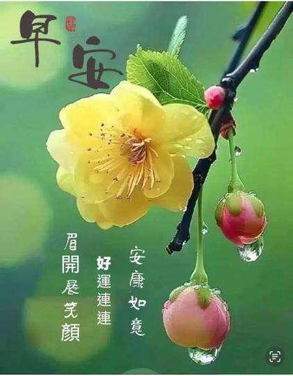 3DCE00A0-D247-4A63-B6D6-602CB52FDB89-38671-0000040EF4BC8794