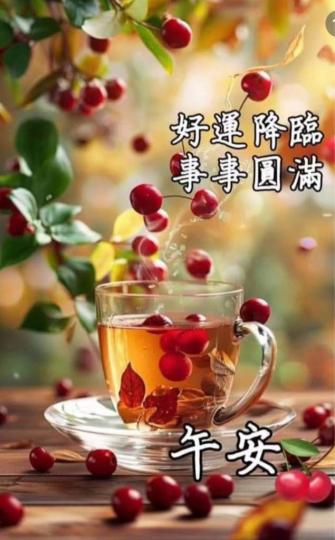 41C702C2-2897-4BE1-9C75-7782B94BE083-54181-000005F735062F91