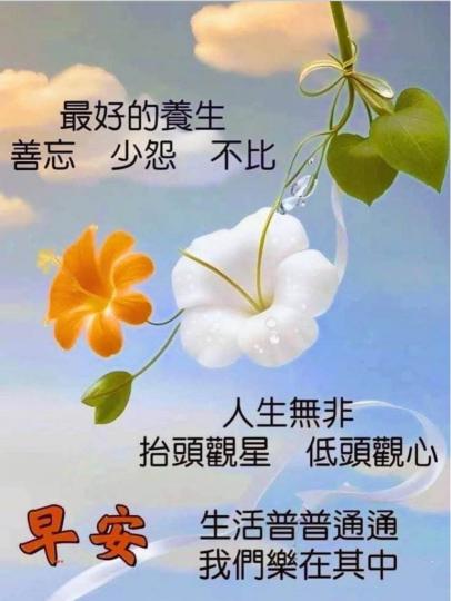 4241467A-3FA4-4203-BA3C-ADAF565246DD-6846-00000A70D40C9DA8
