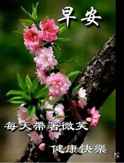4477C0CE-BBAF-40BB-A50A-EE84DCF745EA-7494-000000CD53385F8B