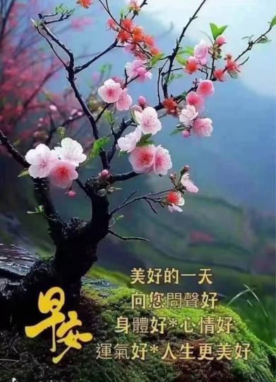 44D9C6EF-F771-4FF8-A7B3-BB7512DC2B8B-85562-00001CDE60F2E794