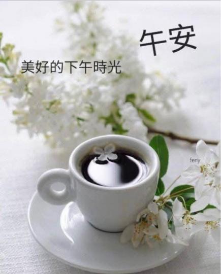 533B159D-24BC-4C35-92D6-84E8EFE1AA9F-46546-0000058319F92F6B