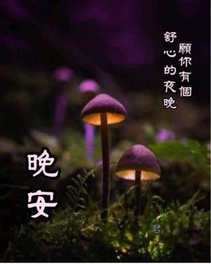 581F5849-EE43-4607-A56B-048BE5B774C3-23626-000002C358C539E7