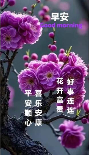 5A85DDC9-CDA7-41E0-AA0F-BF6CD0D93681-57885-0000065E3AC2D8DF