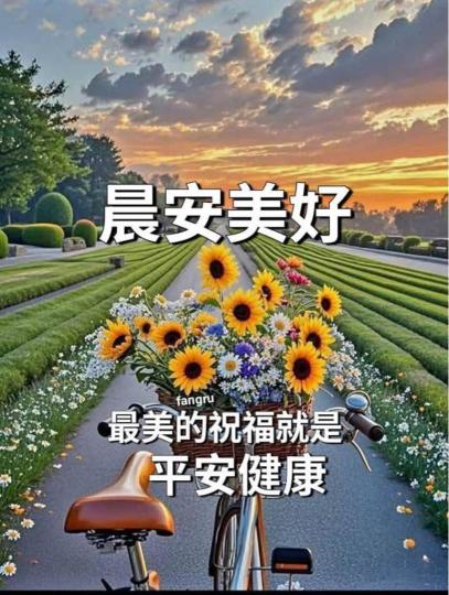 708D8C3E-B4E2-487F-AF97-16E7CAAF7B42-52224-00000578539372EA