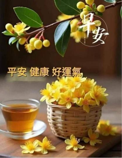 71D85728-1CE9-4292-BB96-3902B4A5959B-45839-00001BA17F8D7551