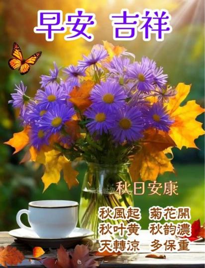 74B1BD55-3A4F-44B0-9DFE-FA4ACEBDEB7C-6980-000000A37EF3B9F5
