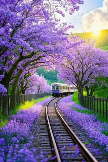 799A2D21-F329-4BBB-A905-45B77D19D408-51326-00000558FB2980F0