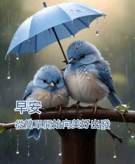 8580D614-94D4-41C2-863C-8963D0600699-1865-00000028EA21C11D
