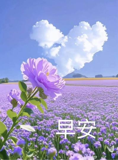 8B5A8283-1050-4D94-B844-A9BFF5C068BE-11284-000001700E88C87A