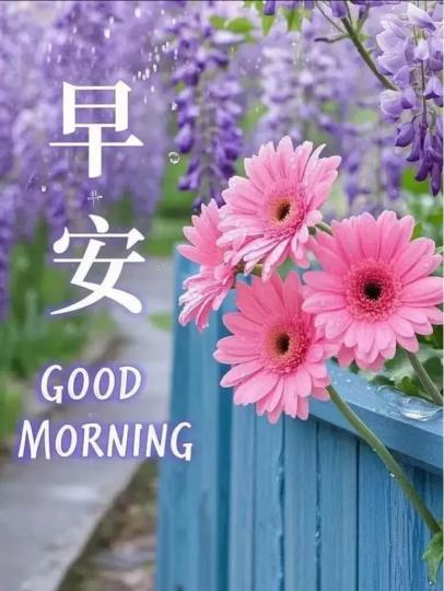 9D7F6AD2-9CF9-4F74-BE15-0E1354918E8B-20160-00001280354C703D