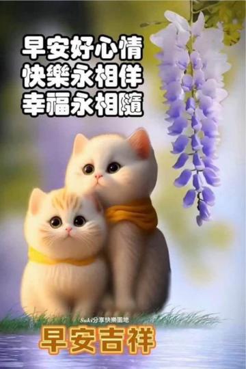 A3227129-BEA0-4DCA-BE0C-A5767EB513A8-65977-000006FAB0A93986
