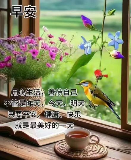A53C775A-24AA-4E1B-A379-95C203E9B5FA-63189-00000767605EA946